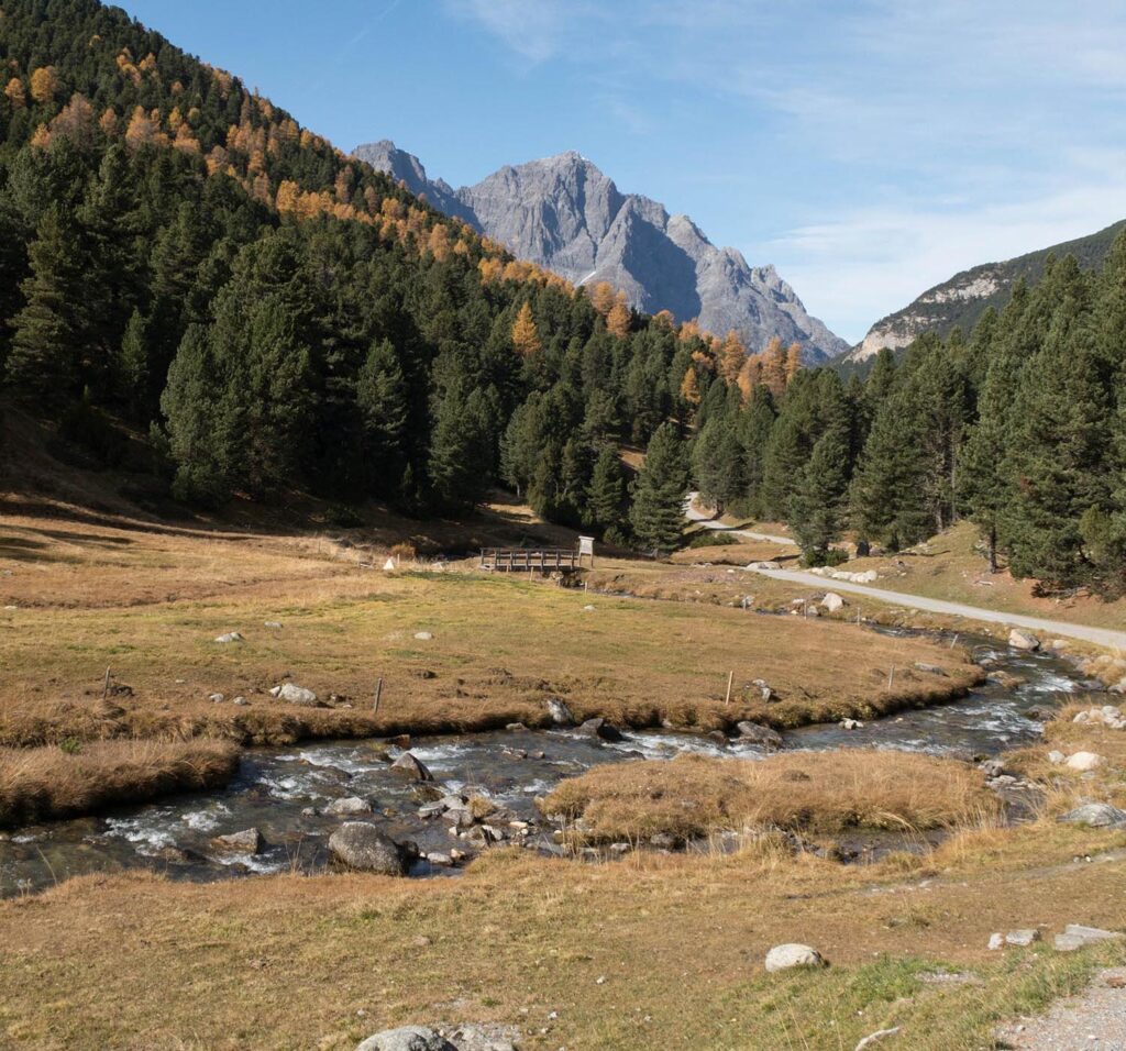 Als Einführung in die Website der Praxis am Haldenbach steht das Bild eines klaren Bergbaches mit steilen Halden im Hintergrund